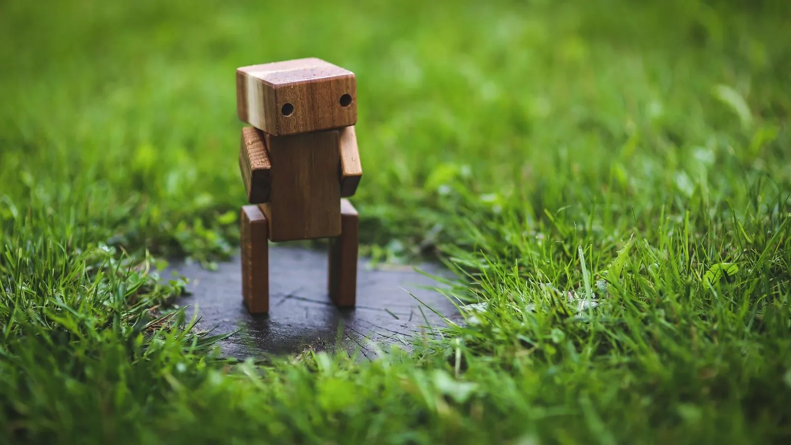Small blocky wooden figure standing on a patch of grass
