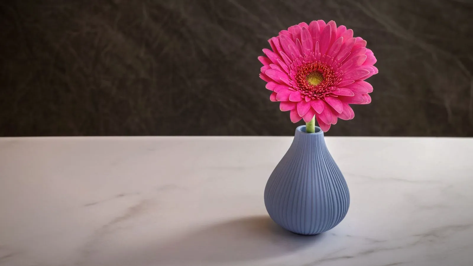 Small ribbed blue-gray vase holding a pink gerbera on a marble table