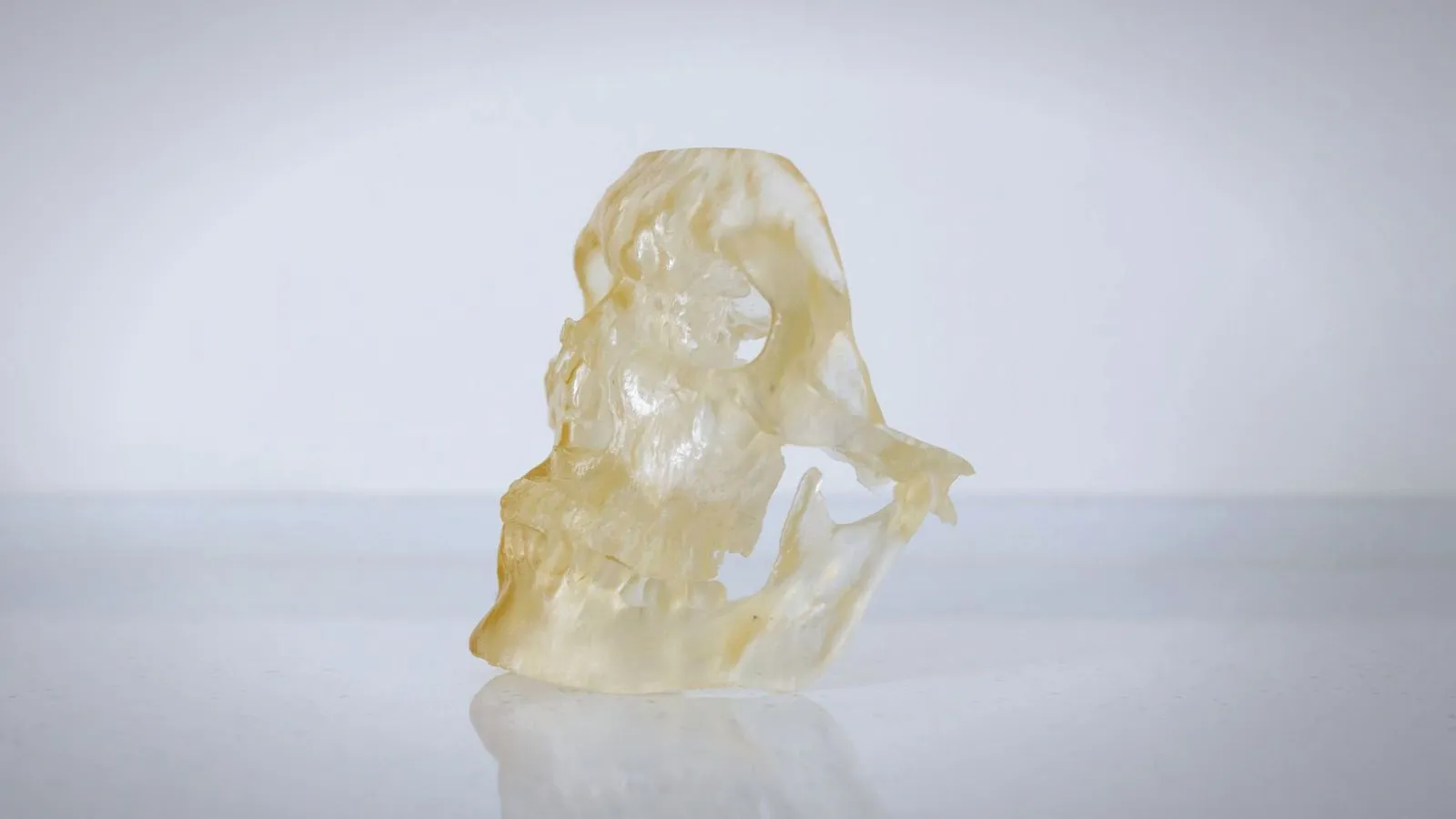 Translucent resin 3D printed skull model standing on a white reflective surface